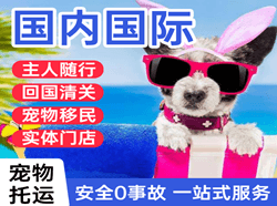 白山长白山机场邮寄国际宠物托运 【国